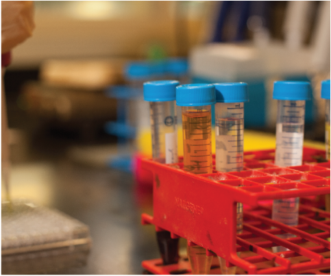 Lab Work