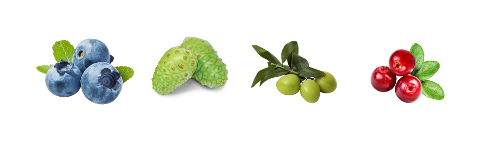 Earth's best ingredients